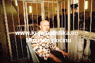 Fotografie ze soudní síně 